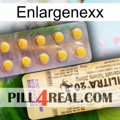 Enlargenexx new06